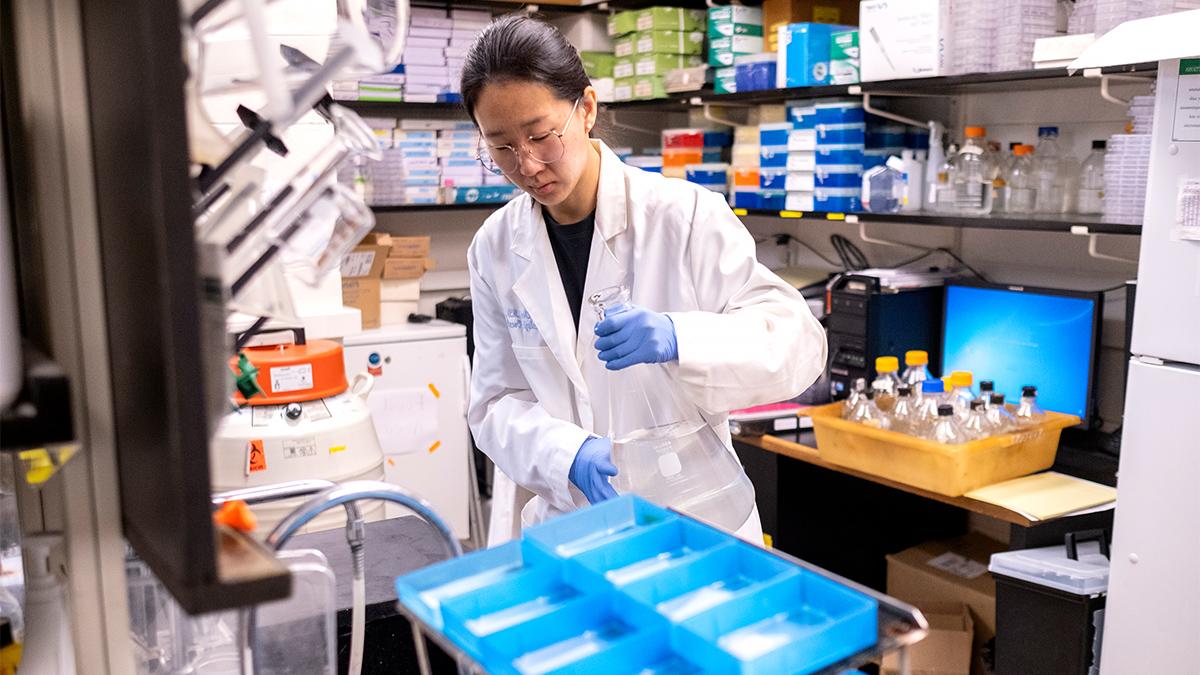 A person working in a cancer research lab.